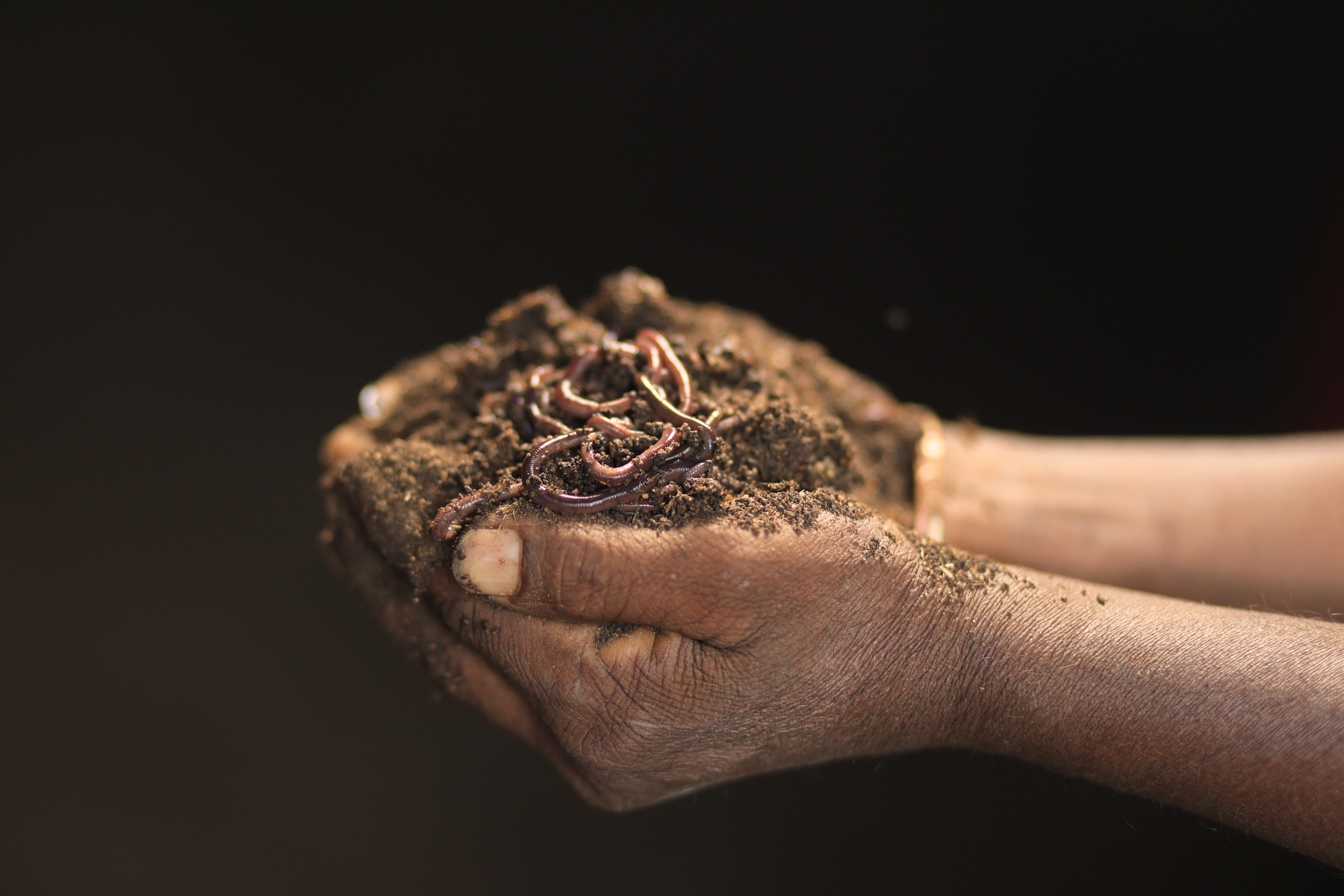 Soil testing and analysis