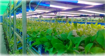 Soil Health