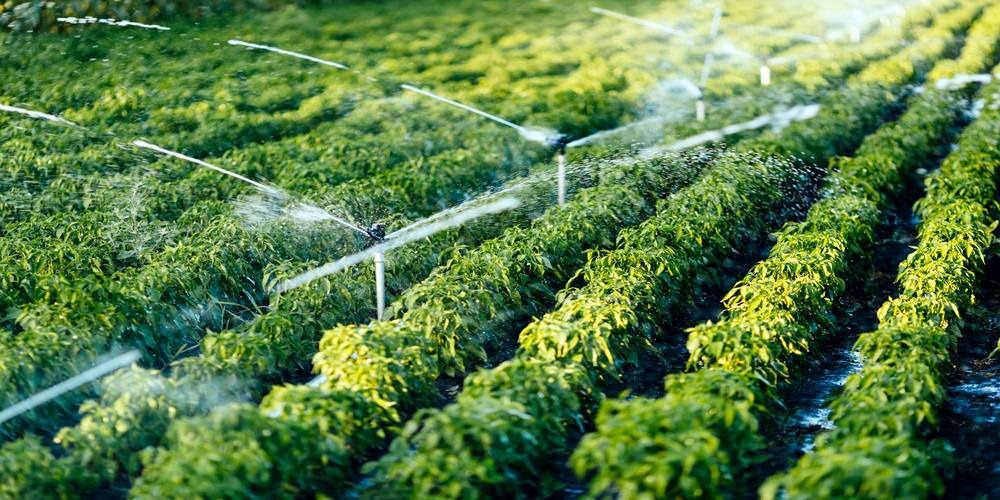 Sustainable Water Practices